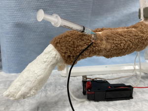 Image of the cephalic vein venipuncture Operation circuit board based model.