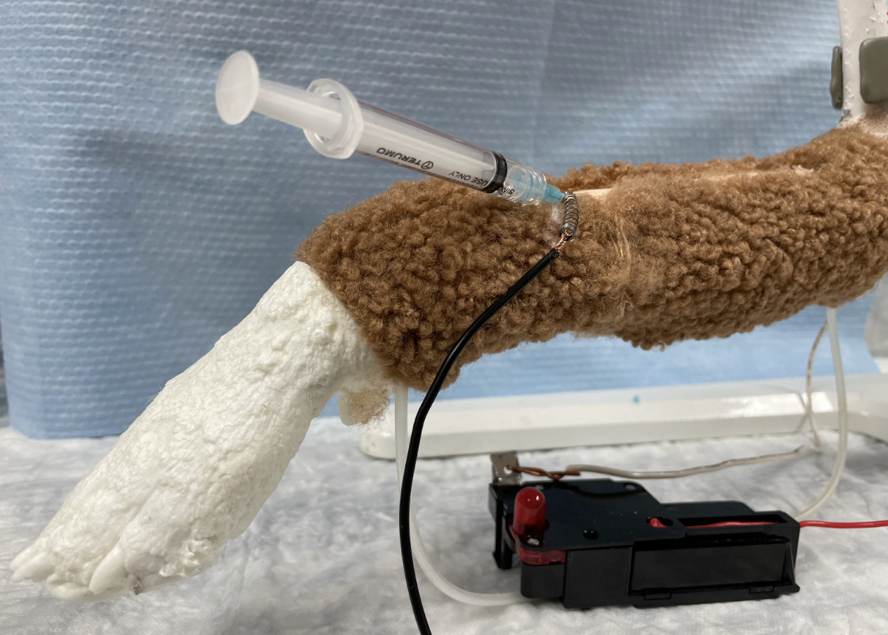 Operation game buzzer cephalic venipuncture model in use.