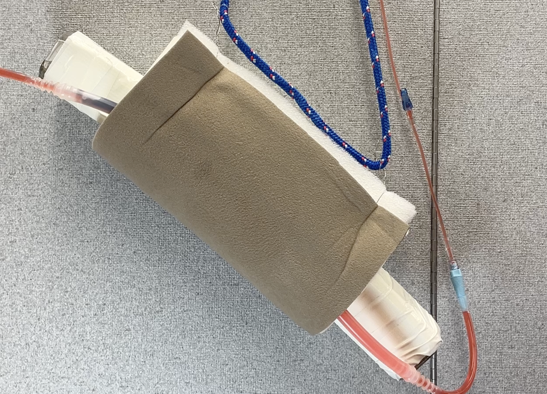 Image of an assembled and live jugular venipuncture model.
