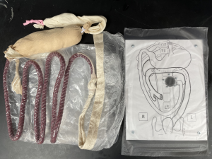 Components of the GI topography model.