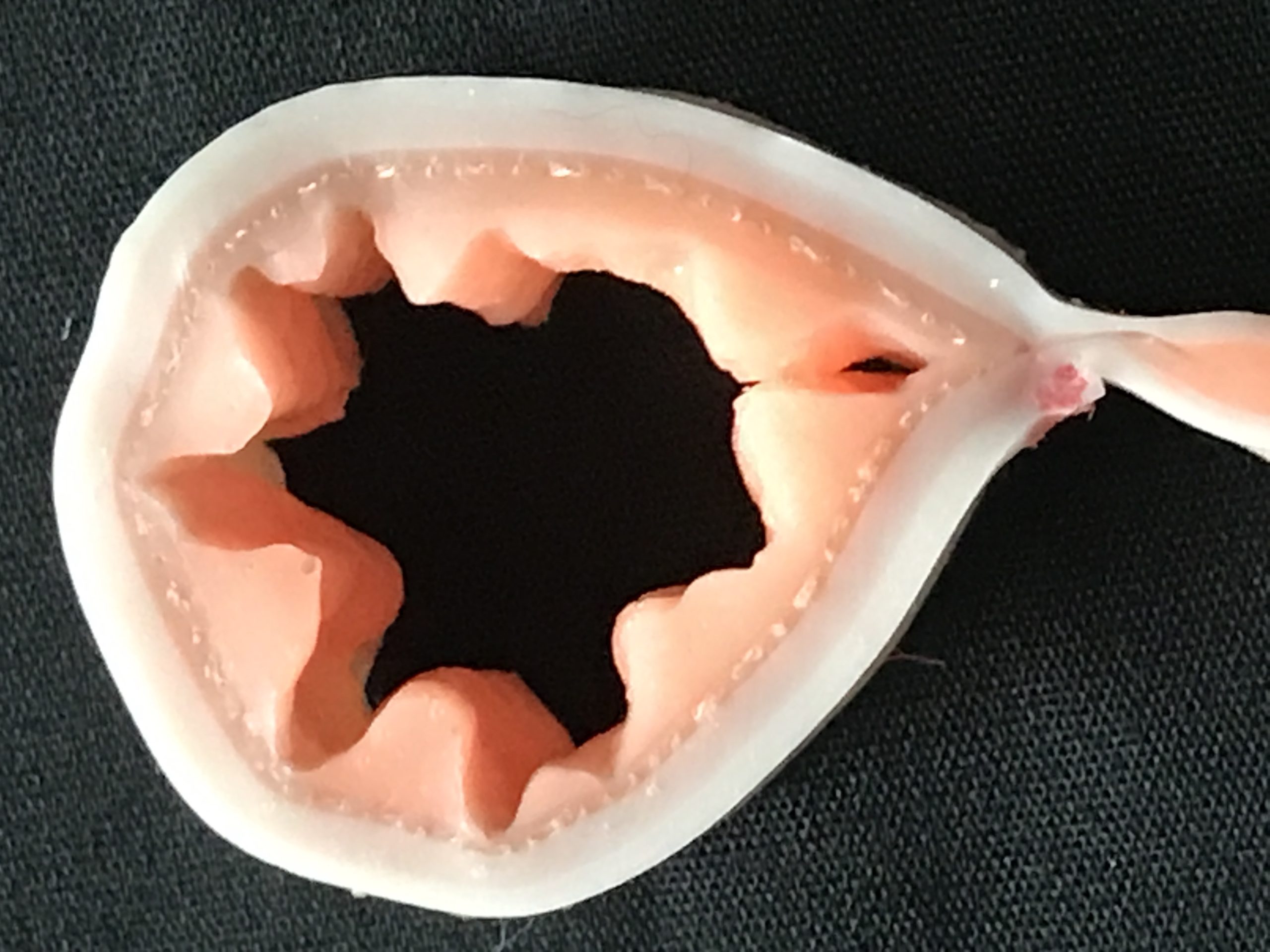 Cross section of the canine intestinal model showing the layers and construction.