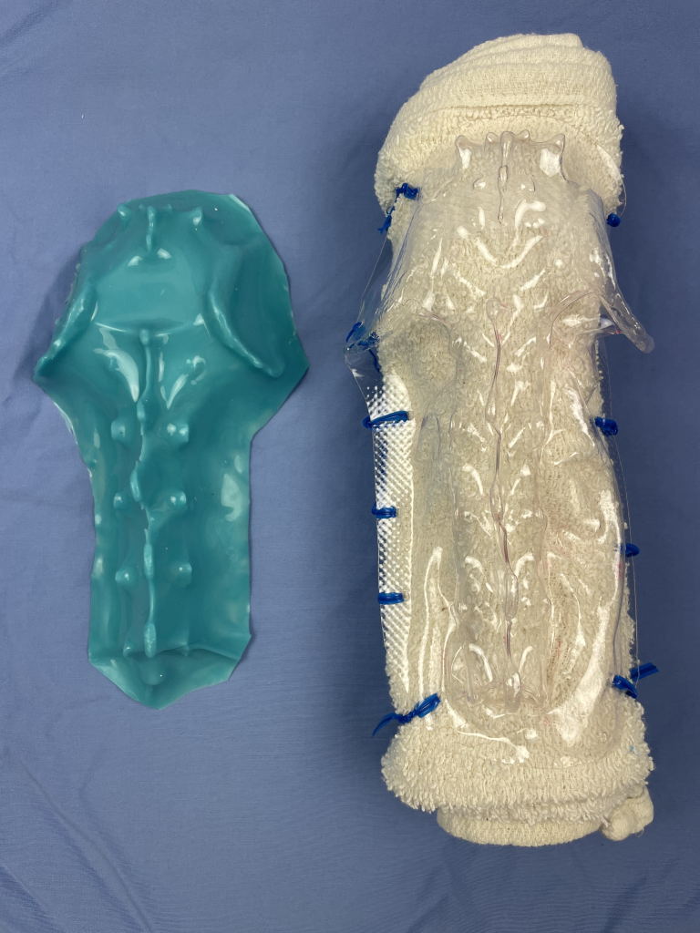 Pictured is the silicone form and resulting form press model of the canine epaxial model.