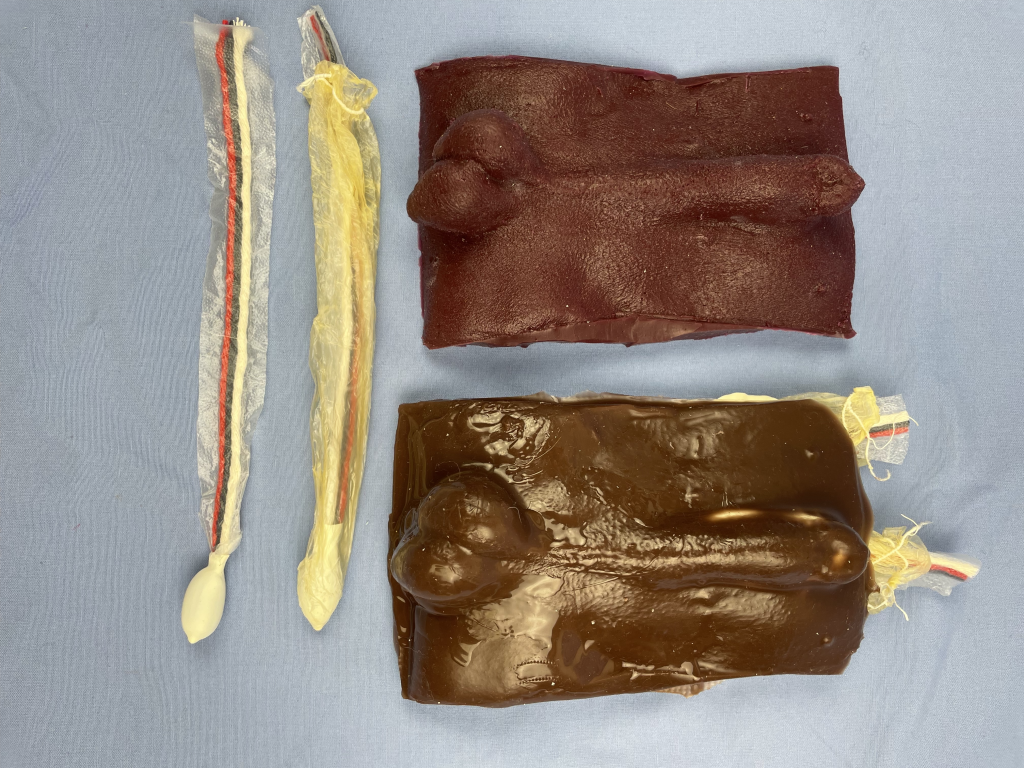 Cast, model & testicles, showing visceral only (left) and visceral & parietal serous membranes (right).