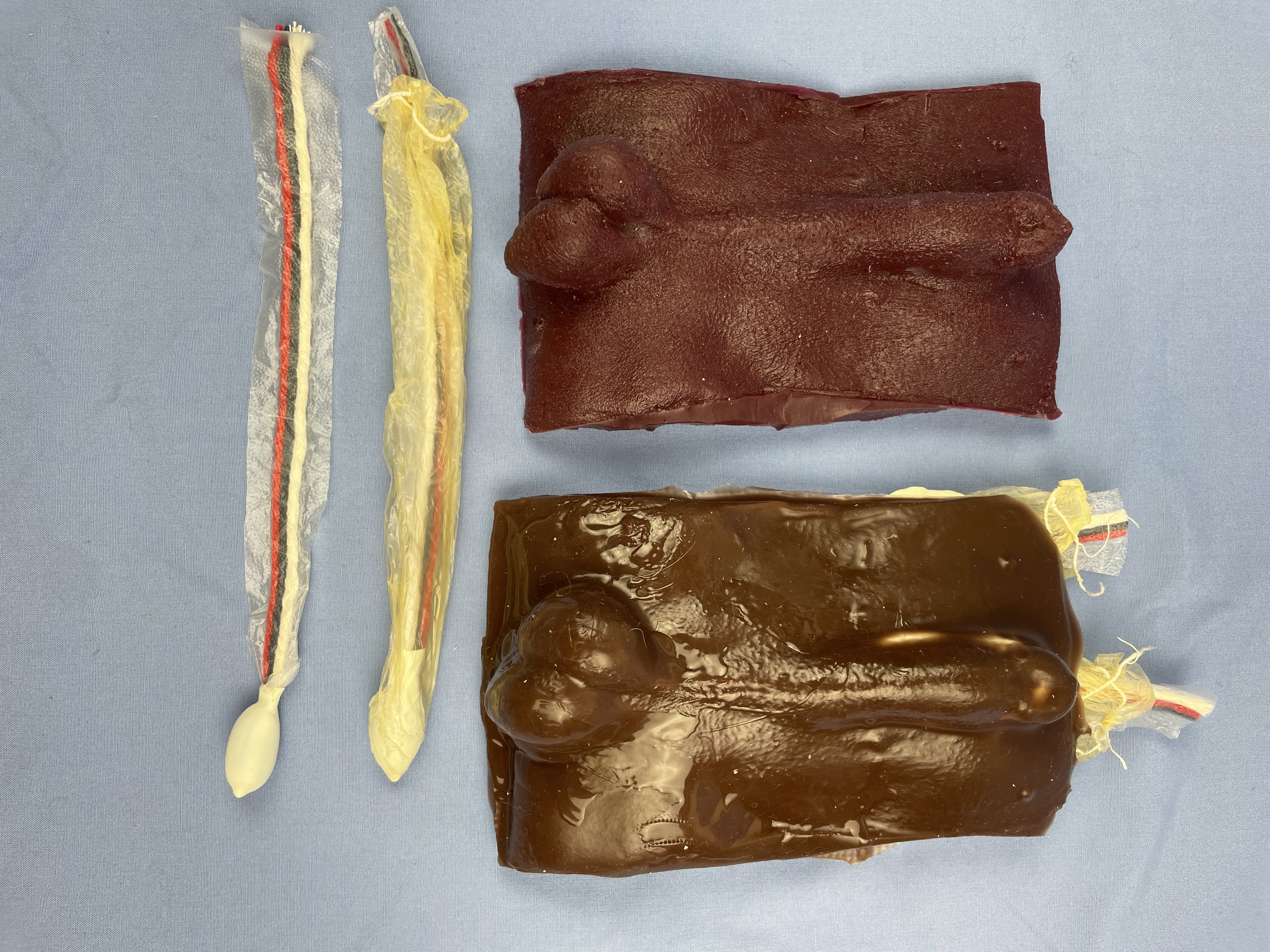 Canine castration models along with views of the cords and testicles.