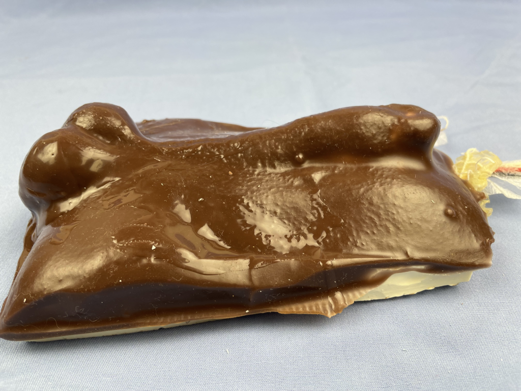 Profile of the canine neuter model, which allows for scrotal or pre-scrotal incisions.