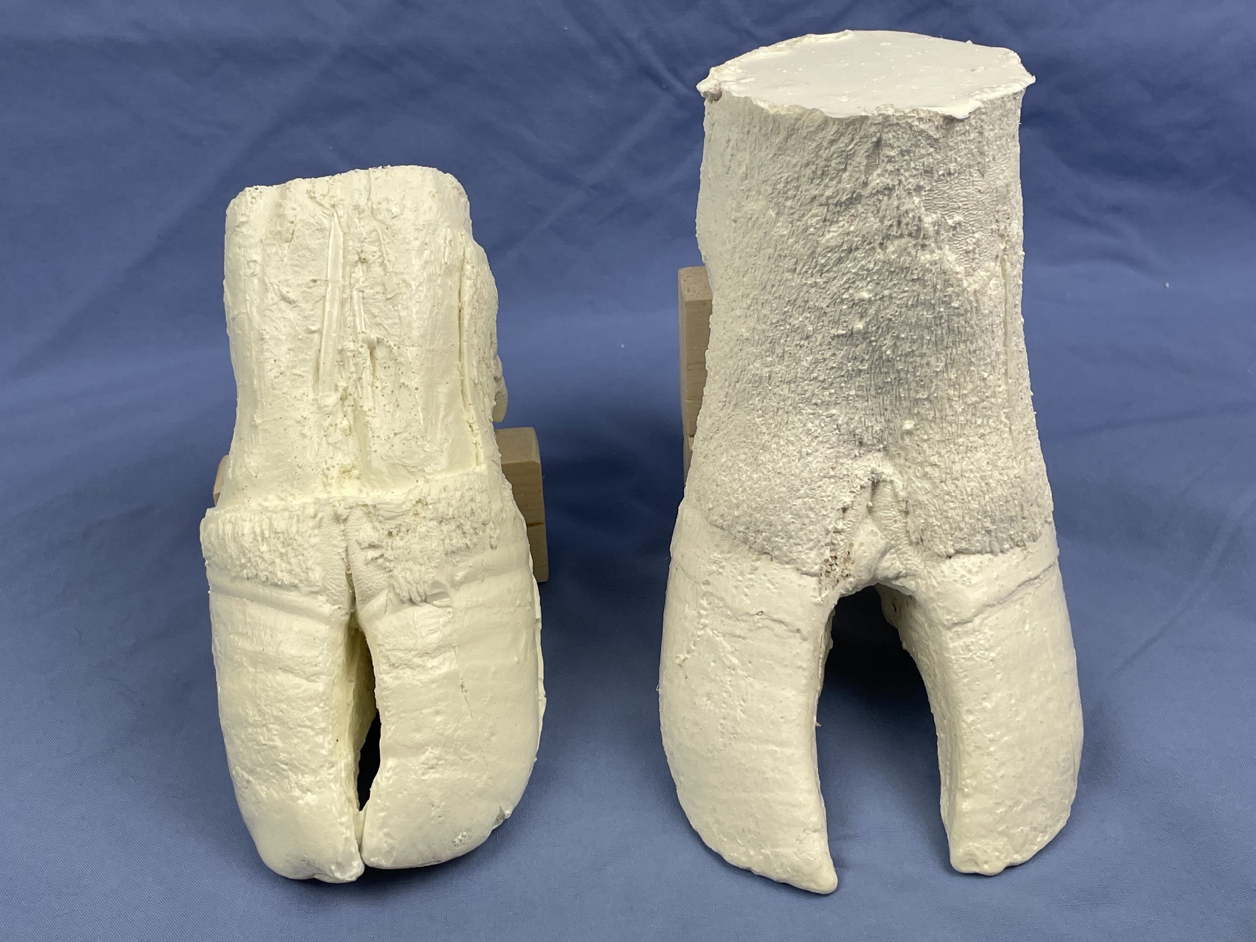 Both versions of the bovine distal limb models in plastic.