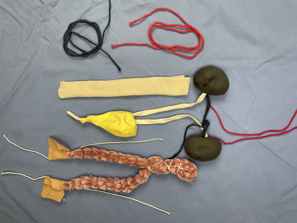 Modular components of the female Urogenital tract.