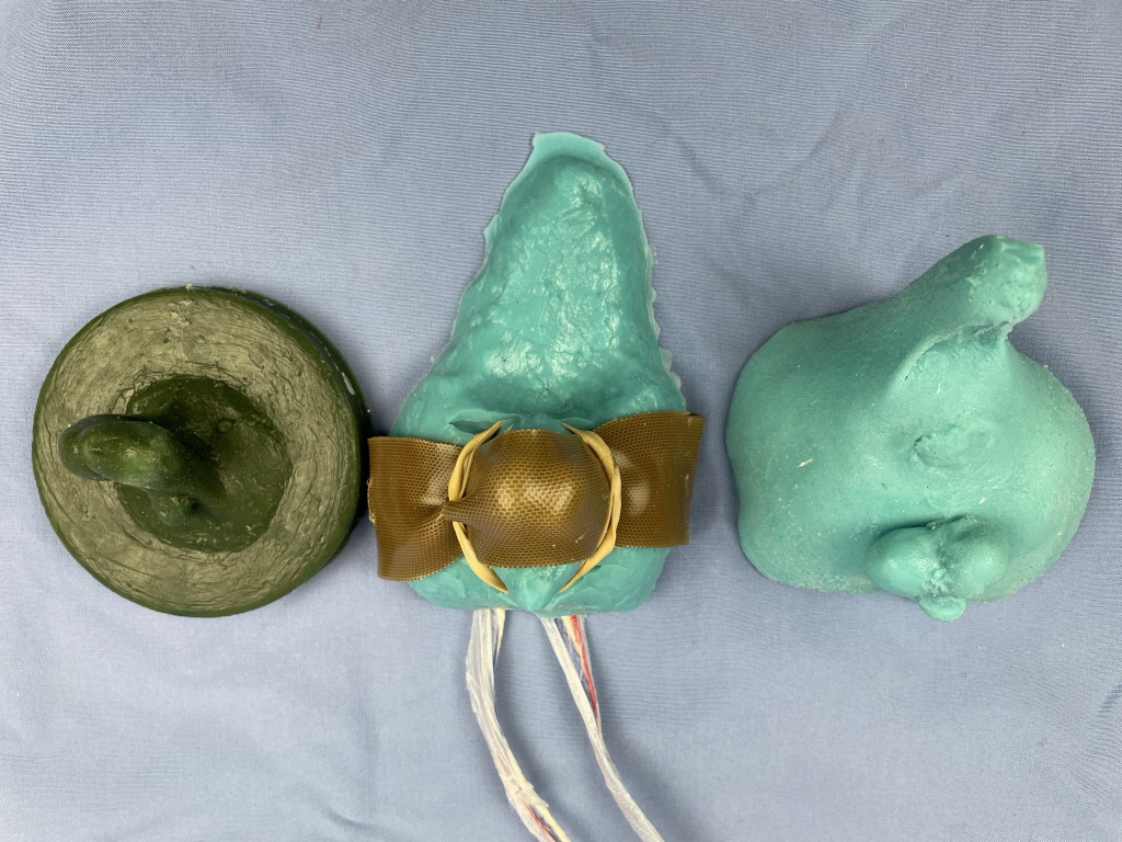 Feline neuter models, including third iteration prototype.