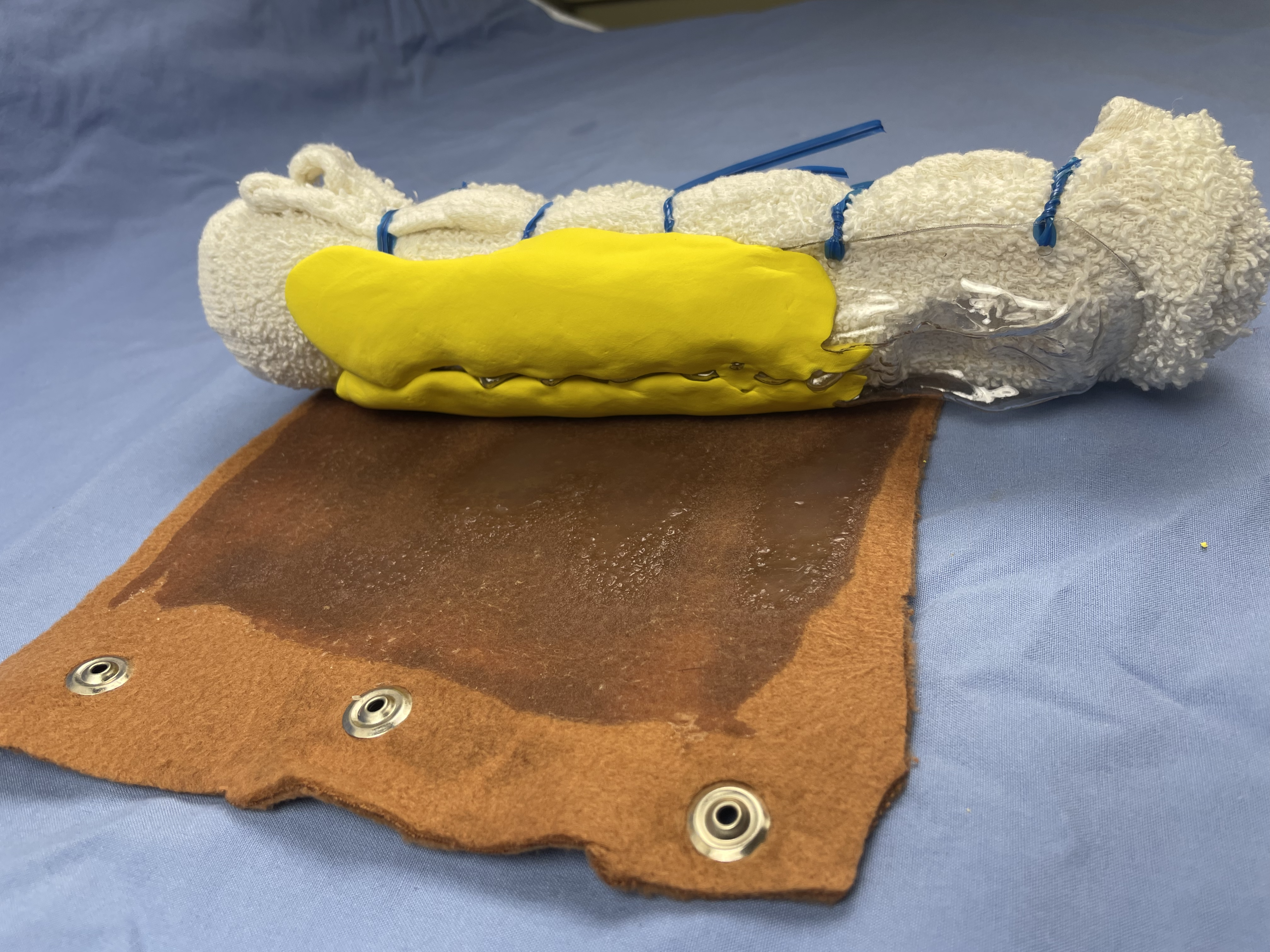 Image of the feline epaxial injection muscle model with skin unsnapped to expose the "muscular" layers.