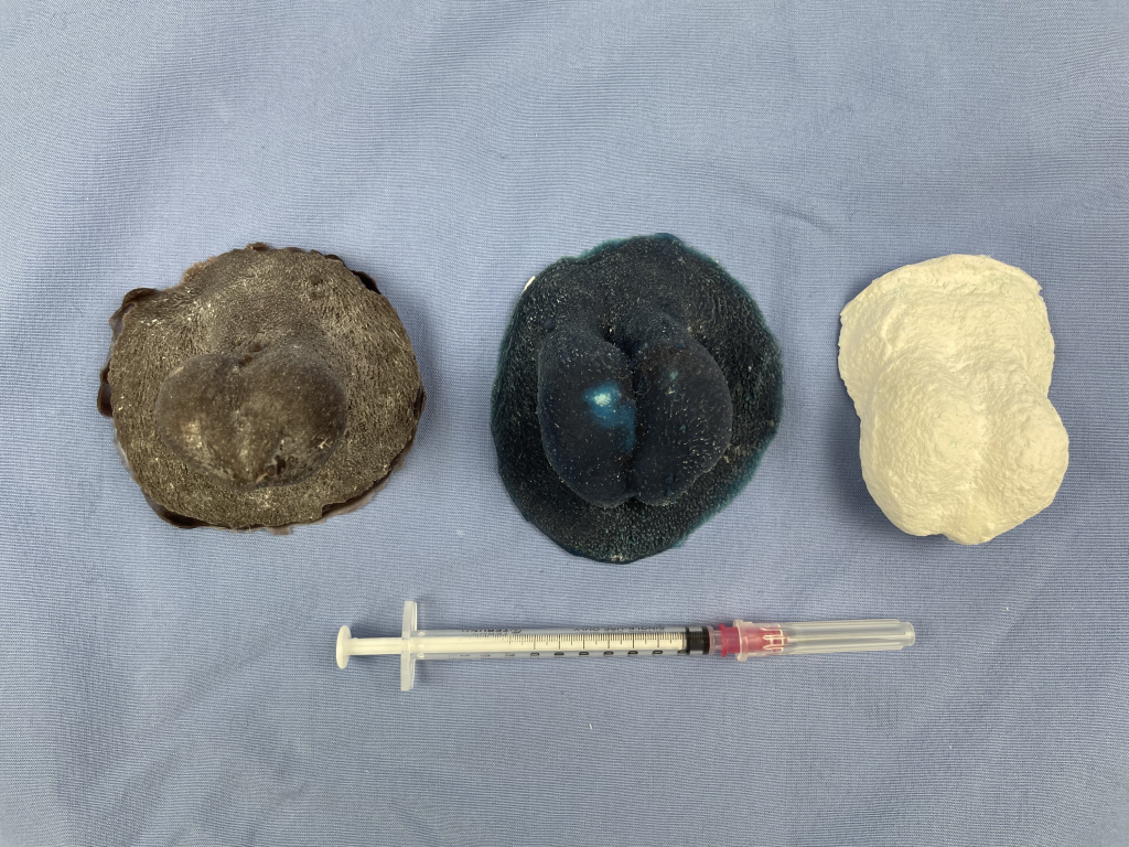Silicone scrotal models used to teach injection of local anesthesia prior to a castration.