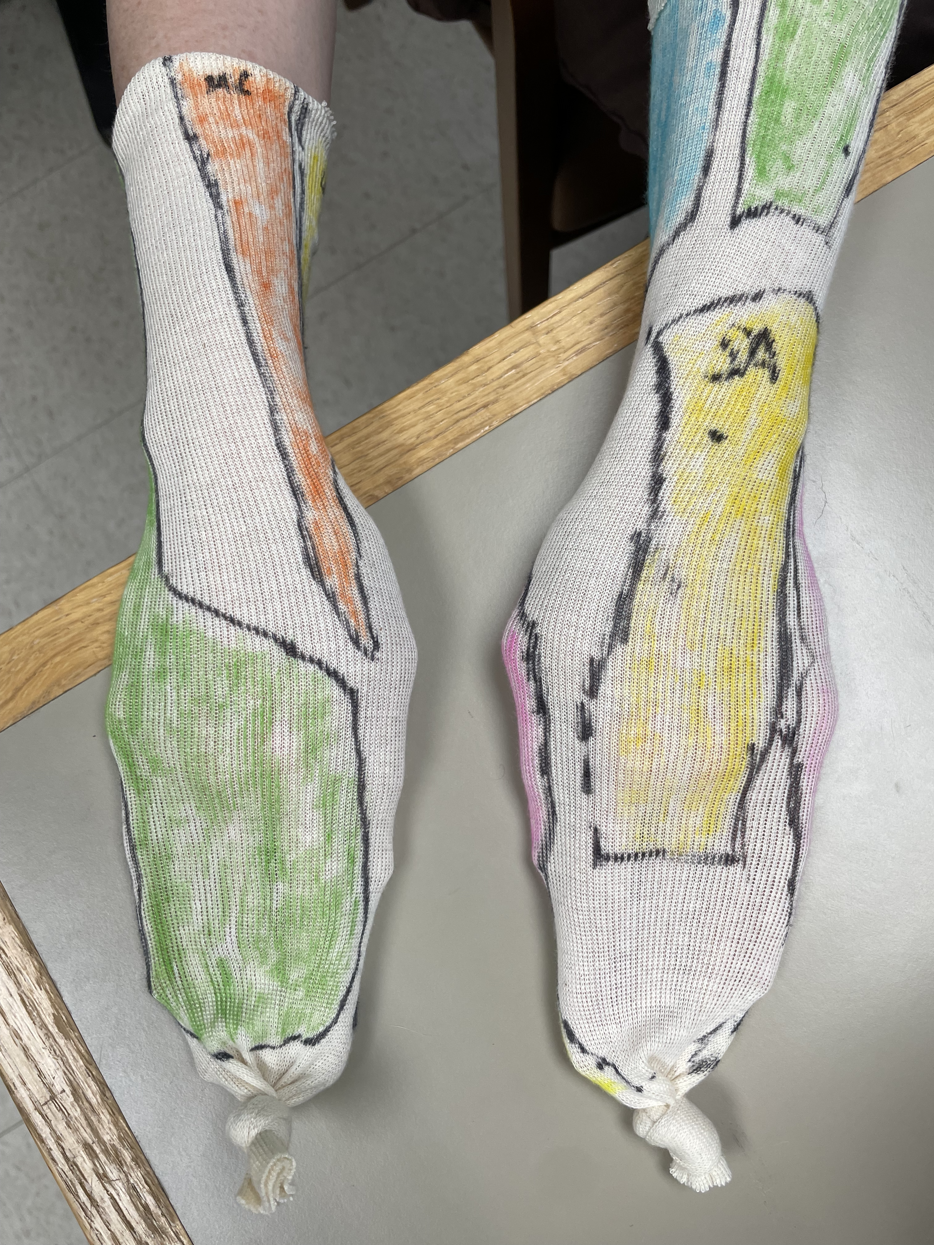 Image of the dorsal aspect of the autonomous zone socks model.