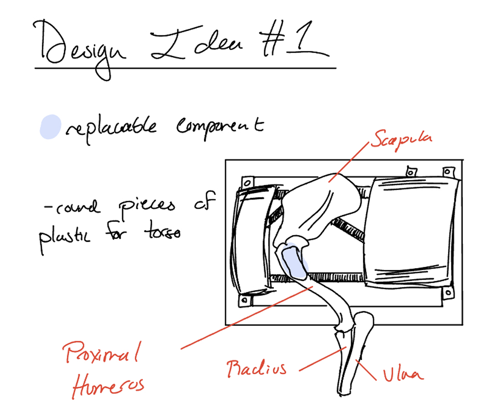 Design Idea #1 for the Bone Marrow Aspirate Model/