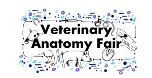 Logo for the Veterinary Anatomy fair consisting of several images of animals or anatomic components as well as stylized design shapes and colors. Used to advertise the fair.