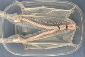 Insert in place in the Badger Spay Model