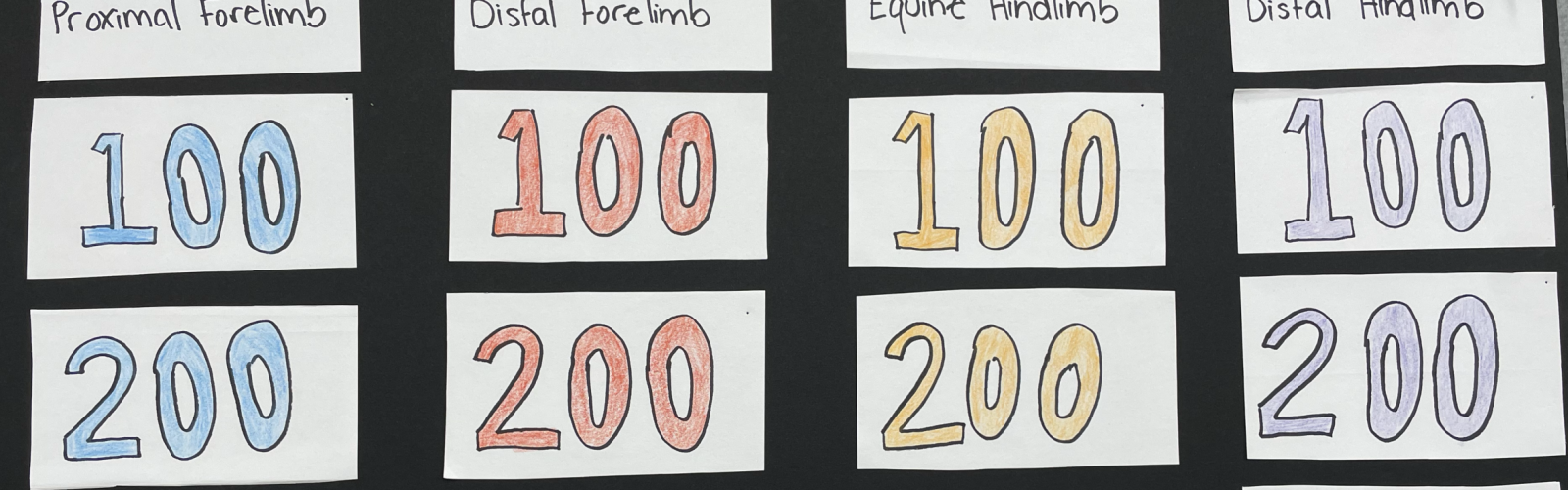 Student created Jeopardy style game.