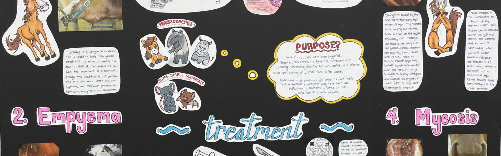 Student created poster presentation.