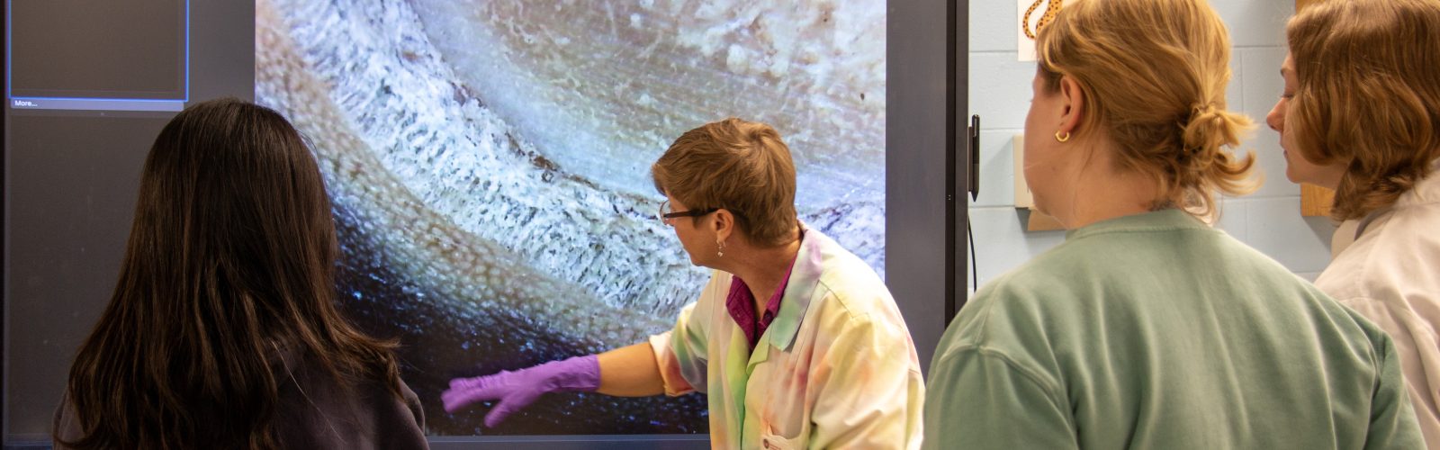 Dr. Gunderson explains a magnified view of the layers of the dermis and epidermis of the equine foot during an anatomy lab.